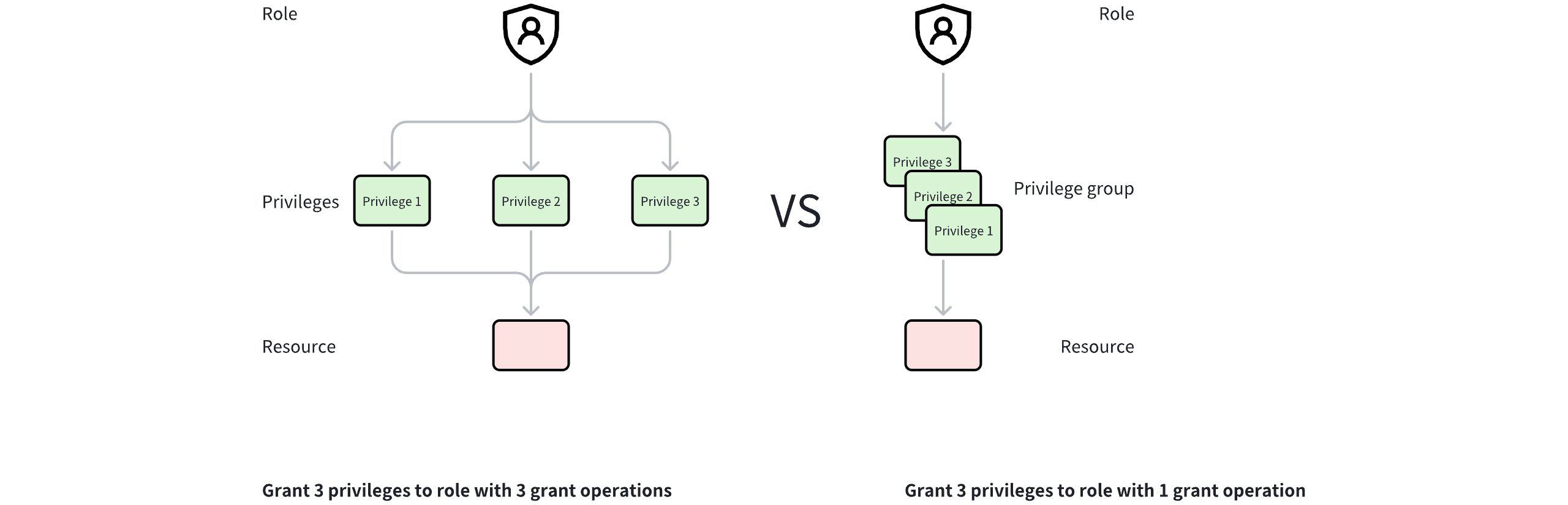 Privilege Group Illustrated